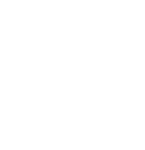 Stella Artois