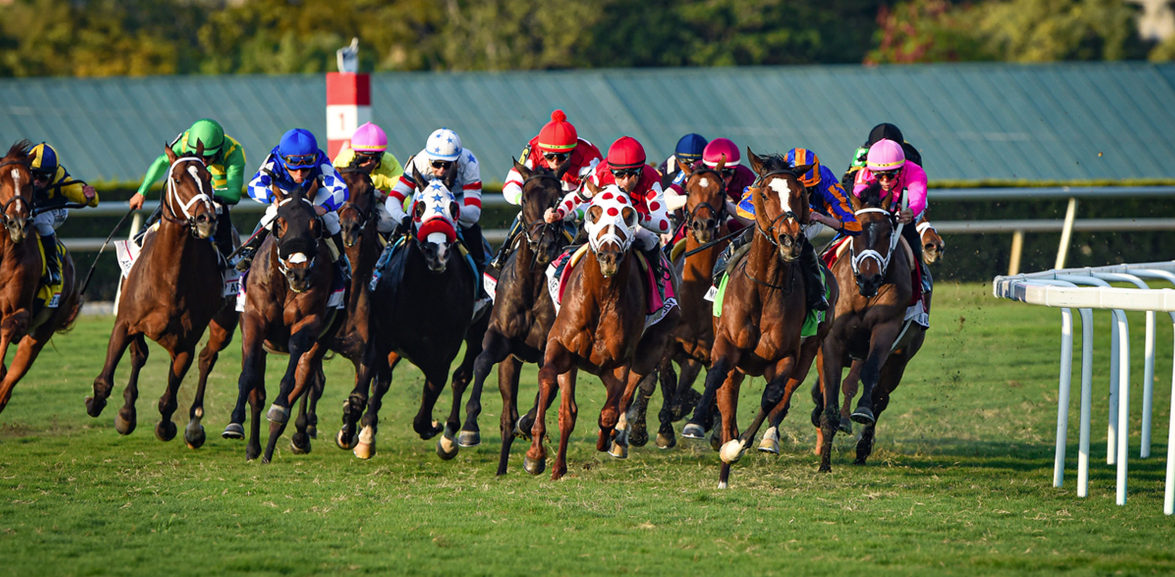 2021 Horse Racing Results