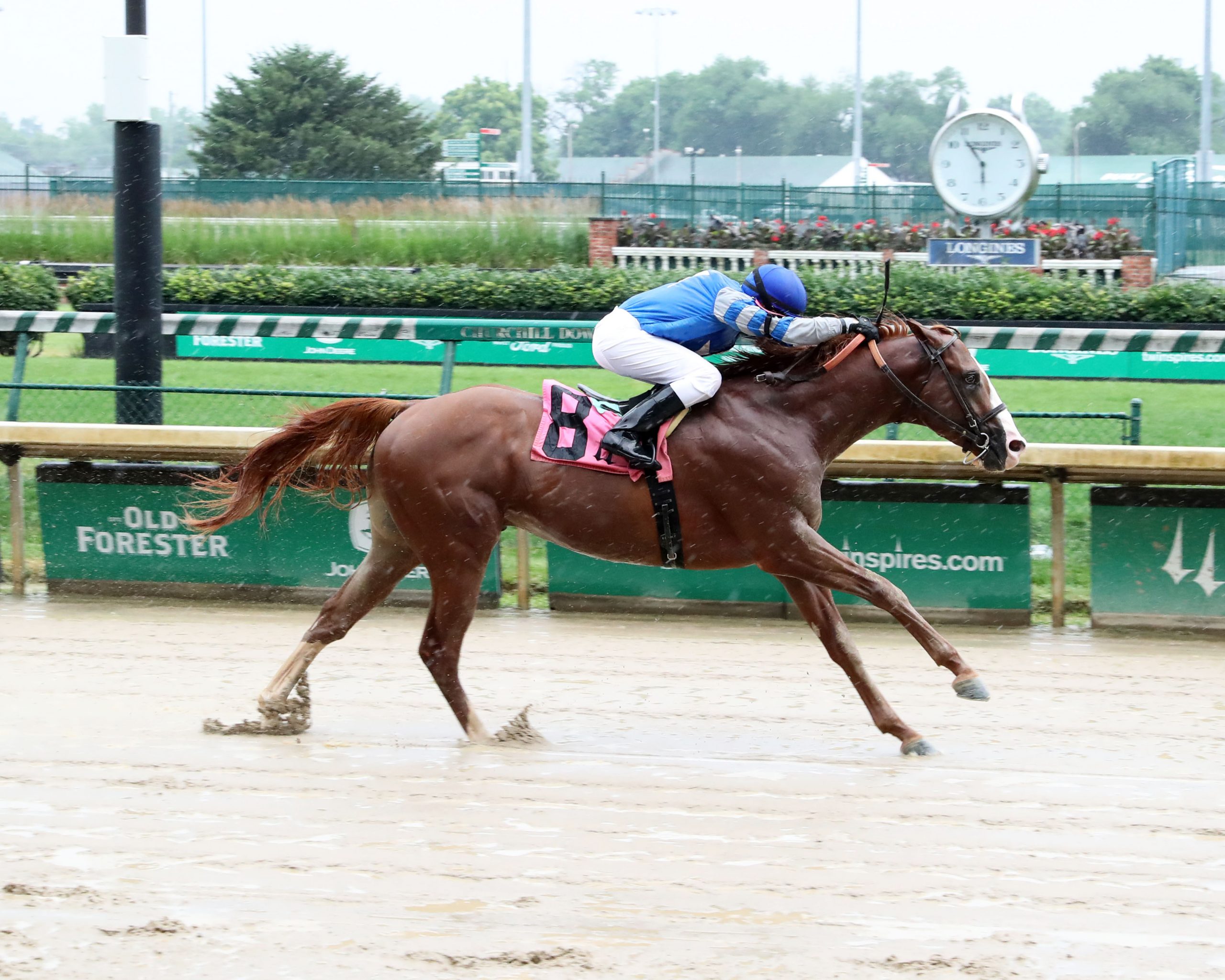 2021 Horse Racing Results