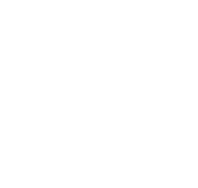 Brand Star Icon