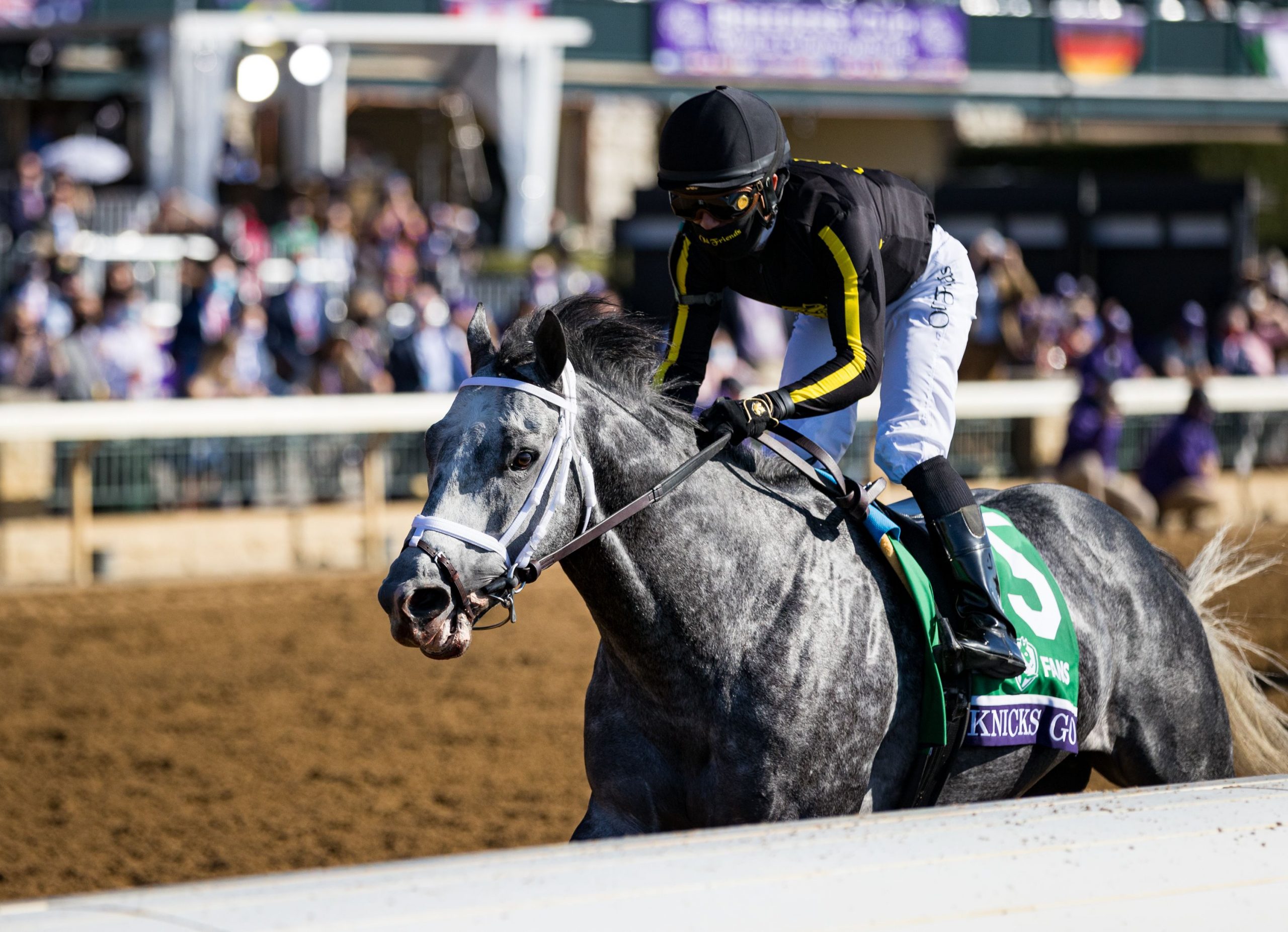 2021 Horse Racing Results