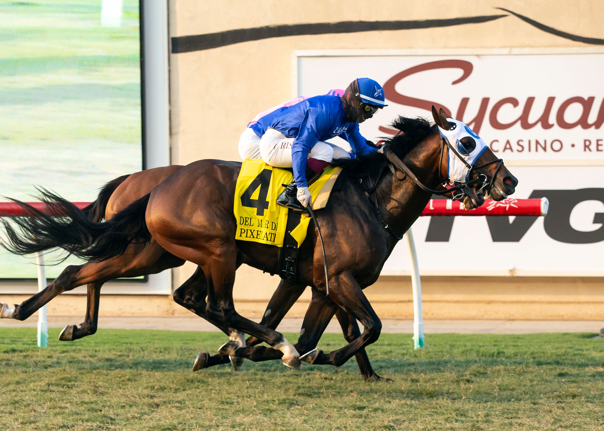 2021 Horse Racing Results