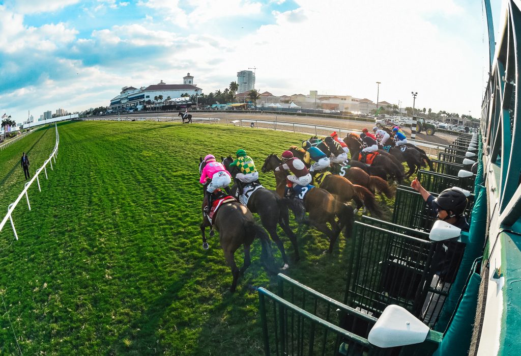 Horses Race Take Off From The Starting Gate At The Pegasus World Cup At Gulfstream Park in Ft. Lauderdale, FL.