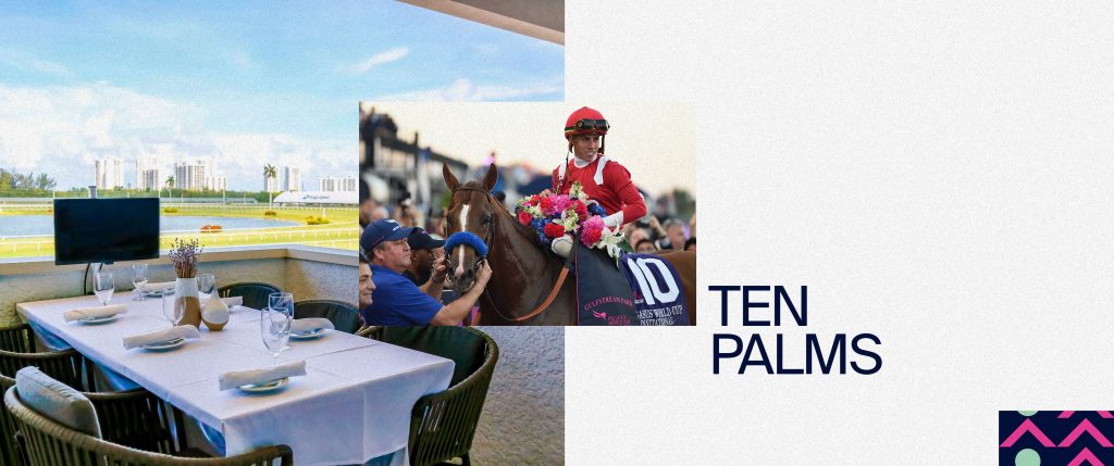 Pegasus World Cup Horse Race Contender Ten Palms