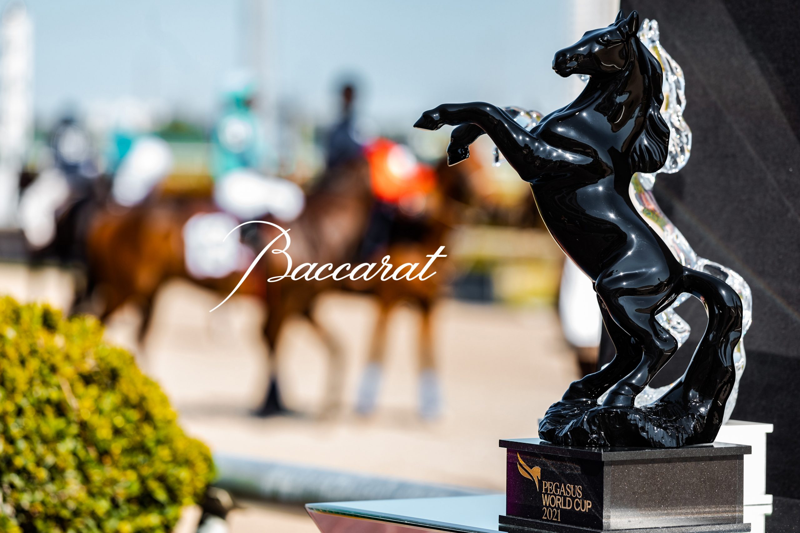 Pegasus World Cup 2024 Pegasus World Cup