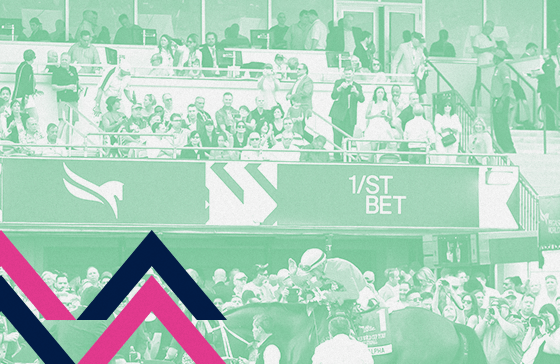 Green Overlay On A Pegasus World Cup Audience