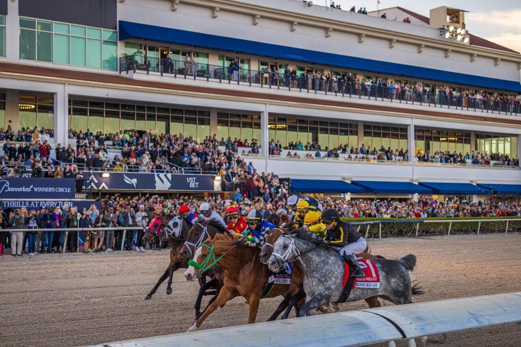 Pegasus World Cup 2025 Tickets Pegasus World Cup