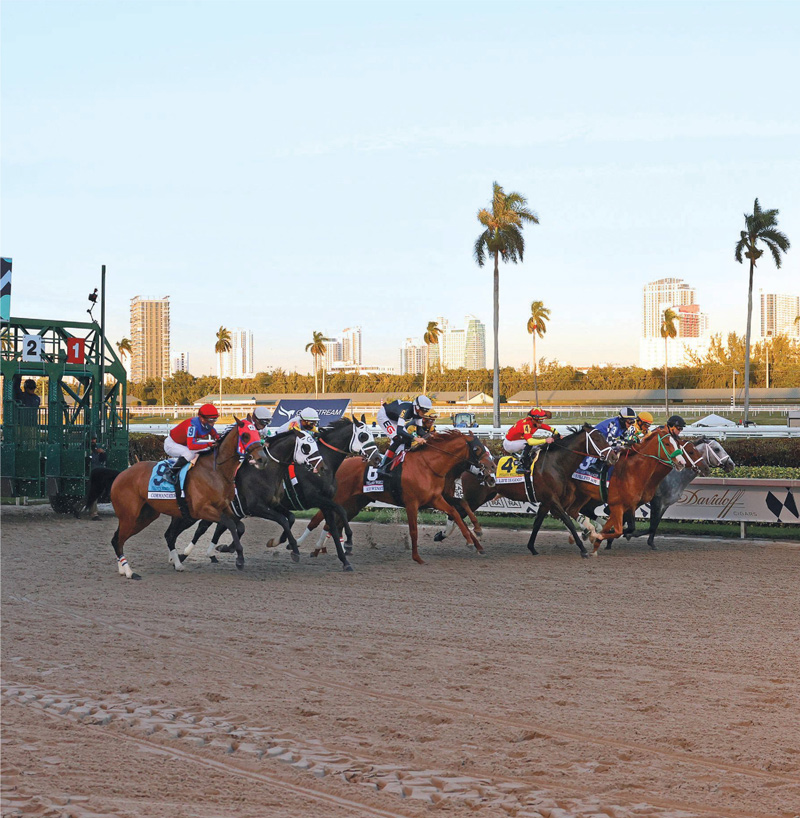 OFF TO THE RACES Pegasus World Cup returns to Gulfstream Park with Baccarat and a fresh a