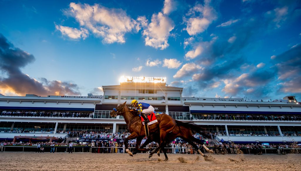 Pegasus racing shot with blue sky
